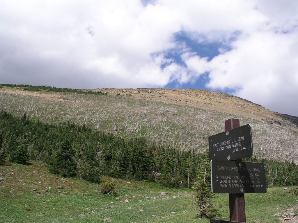 Swiftcurrent Mountain