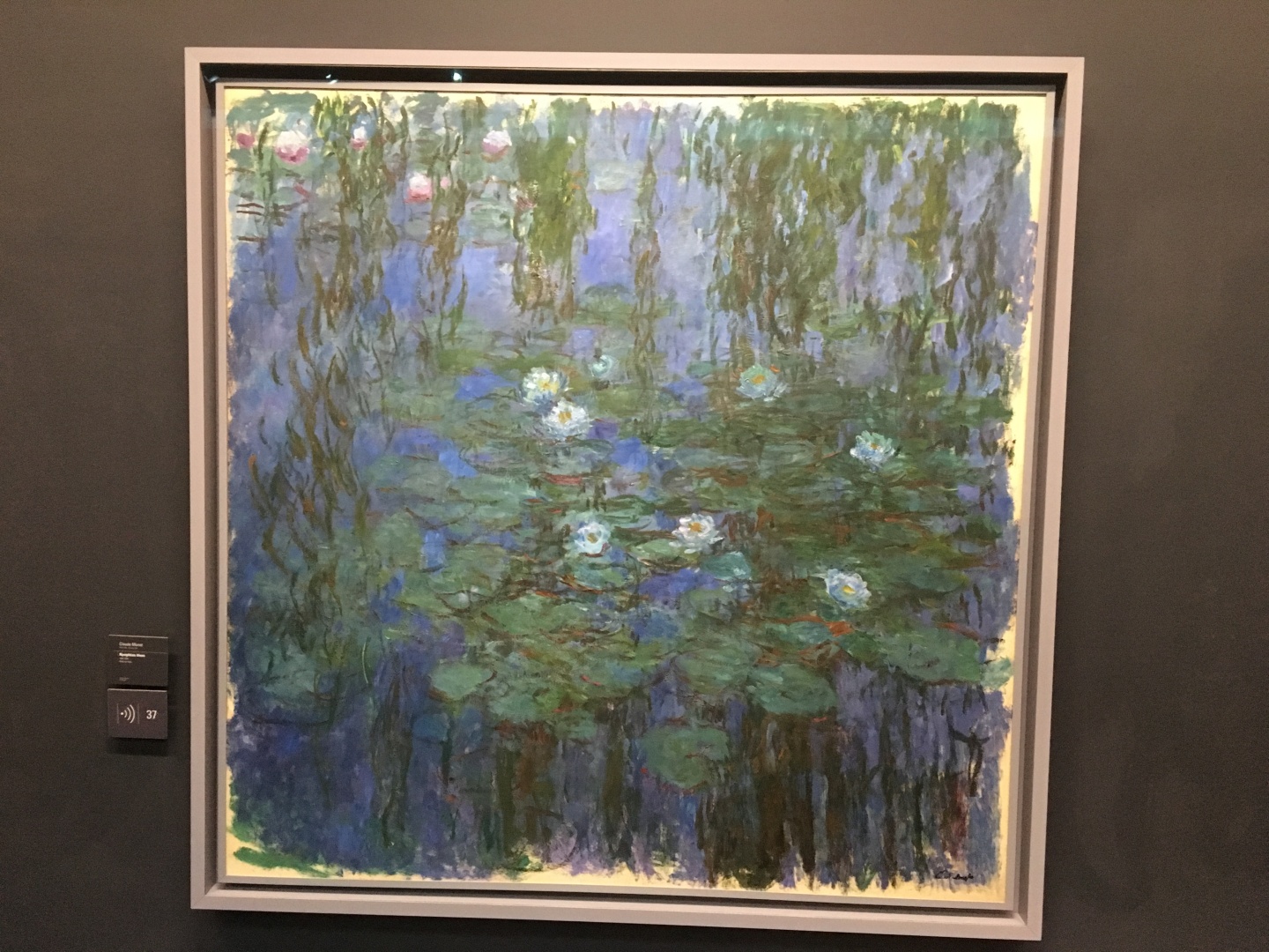 Claude Monet Nymphas bleus