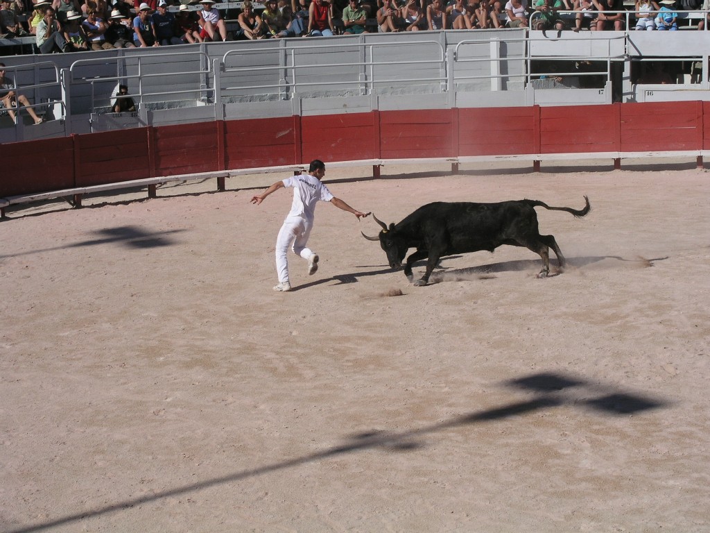 Bournel Courses Camarguaises in Arles