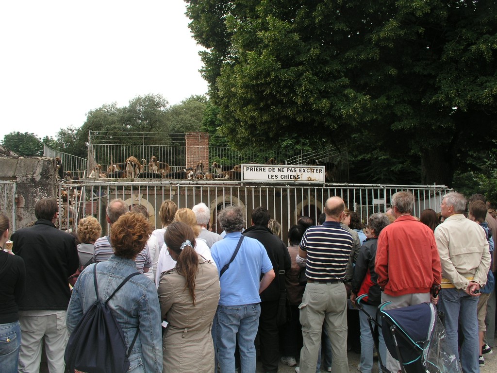 Cheverny - the hunting dogs