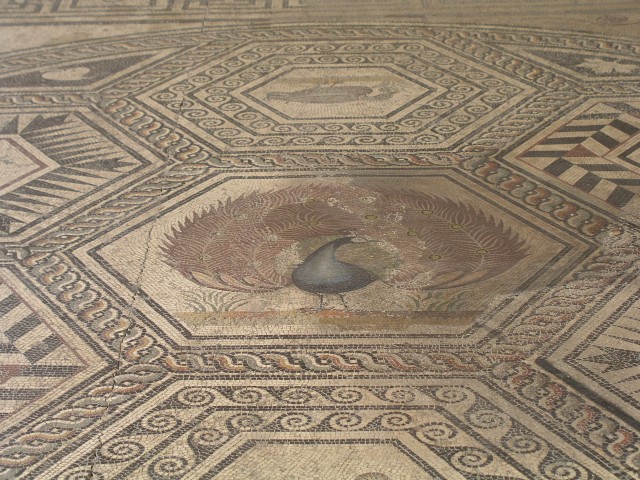 Vaison La Romaine Mosaic